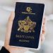 St_Lucia_Citizenship_by_Investment
